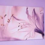 Ivona Apartman Njivice